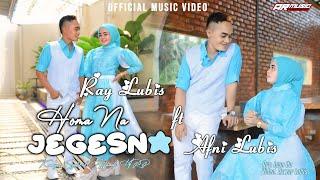 HOMA NA JEGESNA || RAY LUBIS FT AFNI LUBIS, Cipt. Syahrul Affandi Hrp. Official Music Video