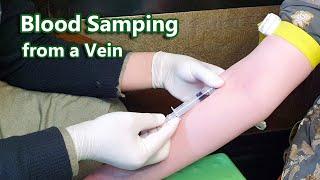 How to Take Venous Blood Sample | Venipuncture | Phlebotomy | Vein