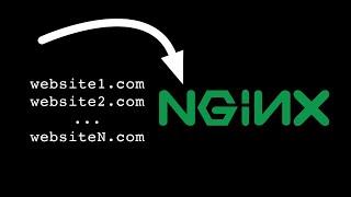 Serving Multiple Websites with a Single Nginx Server