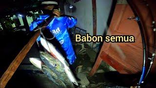 Tehnik mancing‼️ Kebobolan strek Barakuda jumbo || troling umpan belut sawah