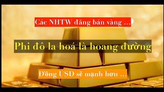 Vài NHTW Đang Bán Vàng Khi Giá Cao Kỷ Lục ... Phi Đô La Hoá.Là Chuyện Hoang Đường ...