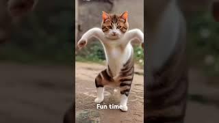 Fun time#Excitement #pets#cat lovers#animals#fun time#viral video #viral shorts