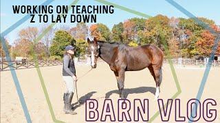 BARN VLOG // Catching Up Around the Farm, Working on Teaching Z to Lay Down // Sponsored by Quikkast