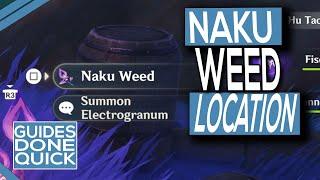 Where To Find Naku Weed In Genshin Impact