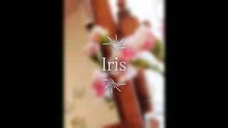 Iris         IIDA SETSUMI　曲