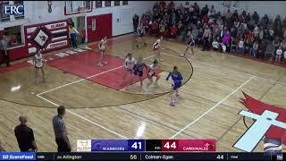 Castlewood's Lyndsey Archer buries a game-tying 3-pointer vs Dell Rapids St. Mary to send game to OT