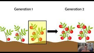 Artificial Selection (AP Bio Topic 7.3)