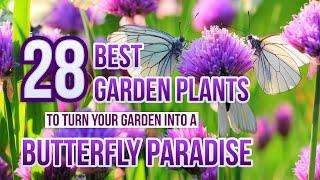 28 Best Butterfly Plants To Turn Your Garden Into A Butterfly Paradise