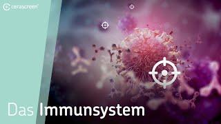 So funktioniert Dein Immunsystem | Immunzellen (Lymphozyten)