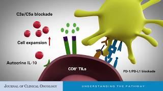 Interleukin-10: An Immune-Activating Cytokine in Cancer Immunotherapy