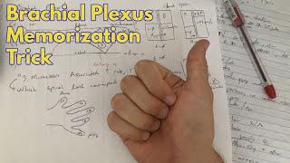 Brachial Plexus Memorization Trick for Spinal Root Levels
