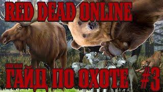 RED DEAD ONLINE. ГАЙД ПО ОХОТЕ. ПУМА. МЕДВЕДЬ. ЛОСЬ. ВОЛК.