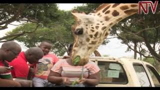 Uganda Wildlife Education Centre reinvents itself to attract more visitors