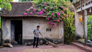 365 days of planting and harvesting peanut, countryside life in Vietnam I @AmThucMeLam