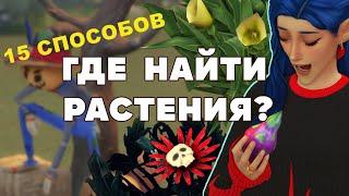 ЭФФЕКТИВНОЕ САДОВОДСТВО - СИМС 4 - ГДЕ НАЙТИ РАСТЕНИЯ ?