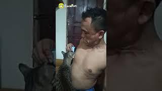 Kucing sedang menyusu Bapak-Bapak