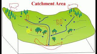 What is a Catchment Area and how does it work?