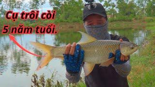 Cái kết cho lần đầu tiên đi câu hồ dịch vụ ( video đầu tiên tại VIET NAM ) / ATRƯ vlog