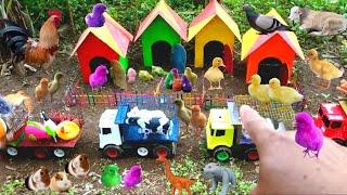 Tractor Transport Toys And Animals from animal house, Cow, Horse Duck, Colorful Chicken, Animal Toys