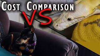  Retics VS Dogs: Cost Comparison