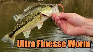 Ultra Finesse Worm - Plus Fishing Footage of Bass & Panfish with a Micro Dropshot Rig