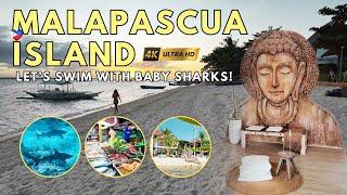 Malapascua Island Travel Guide Costs Resorts Beaches Snorkeling Tour Swim with Baby Sharks Nightlife