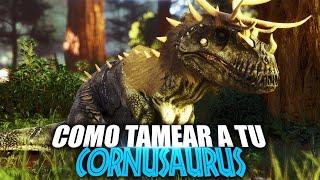 COMO TAMEAR A TU CORNUSAURUS | Additional Creatures | Guia Español | Ark: Survival Ascended/Evolved