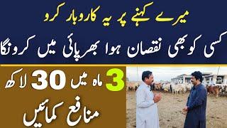 Huge Profitable Business Idea in Pakistan | Asad Abbas chishti