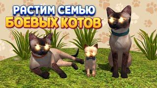 РАСТИМ СЕМЬЮ БОЕВЫХ КОТОВ ( Cat Simulator )