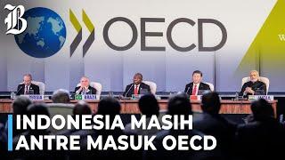 Malaysia Beri Sinyal Gabung BRICS, Indonesia Tetap Fokus OECD