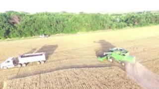 2016 Wheat Harvest - Peterson Family Farm (Filmed with DJI Phantom 3)