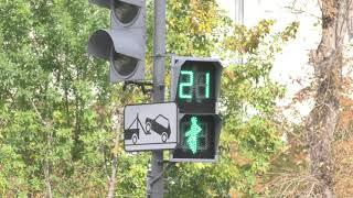 Светофор улица пешеходный переход футаж traffic_lights footage