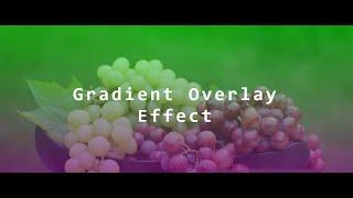 Background Image with Gradient color Overlay|HTML & CSS