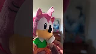 Sonic the Hedgehog’s Acoustic Rizz Energy #sonicthehegdehog #memes #funnymemes #amyrose #sonamy