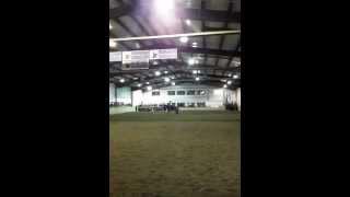 Alfred University's Freestyle Reining Opening Performance