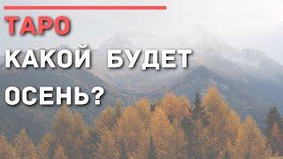 ВАША ОСЕНЬ 2020 | ТАРО ГАДАНИЕ ОНЛАЙН РАСКЛАД