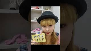 #웃자웃자# 정#말하지않아도알아ㅋ#웃쨜#강아지#쇼츠#먹방##