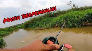 casting haruan_softfrog kembali beraksi setelah sekian lama hanya gunakan soft plastic#haruan #babon