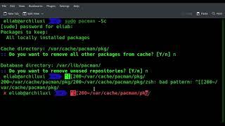 Clean up your cache on Arch Linux