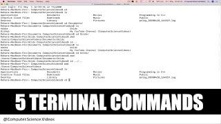 5 TERMINAL Commands To Change Directory For Beginners & Basic Programmers | New