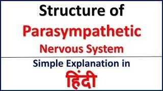 Structure of Parasympathetic Nervous System simple explanation in Hindi | Bhushan Science