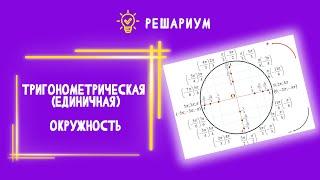 Тригонометрическая (единичная) окружность | ЕГЭ 2023