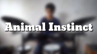 The Cranberries - Animal Instinct (Drum cover)