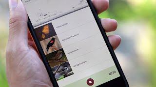 Merlin Bird ID app now identifies bird sounds