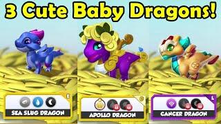 Hatching the SEAL SLUG, CANCER & APOLLO DRAGONS! Our 3rd APOLLO DRAGON IS FREE! - DML #1412