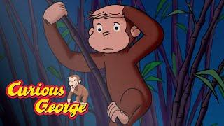George at the Zoo! Curious George Compilation Kids Movies Videos for Kids