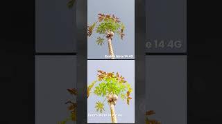 Redmi Note 14 Pro 4G vs Redmi Note 14 Camera Test