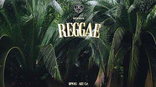 [Free] Reggae Instrumental Type Beat - Riddim 2024