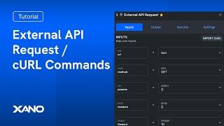 External API Request / cURL Commands
