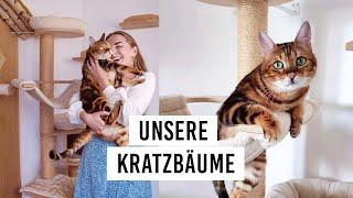 Katze testet Kratzbäume / Wir zeigen unsere Kratzbäume / Was brauchen Katzen wirklich? - Amely Rose